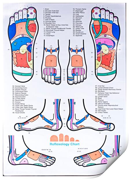 Reflexology Chart Showing Pressure Points On Feet By Cordelia Molloy ...