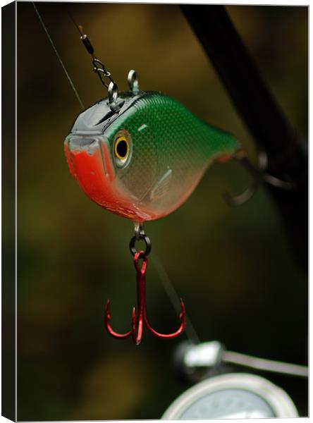 Pike Fishing Lure 1 Picture Canvas Wall Art in Colour by Paul