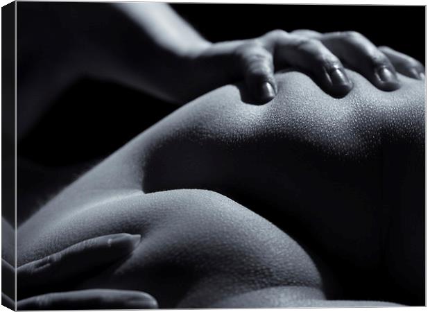 Bodyscape Nude - Gripping Her Bum Picture Canvas Wall Art in Colour by Inca  Kala ID #344827