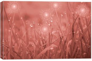 Glitter Red Art Print by Brian Raggatt