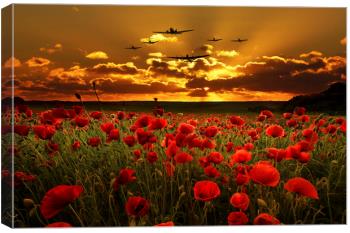 Spitfire over poppy field, Airplanes, Transportation