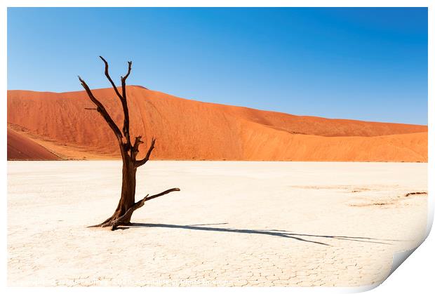 Namibian Red Sand Dunes by Aidan Moran
