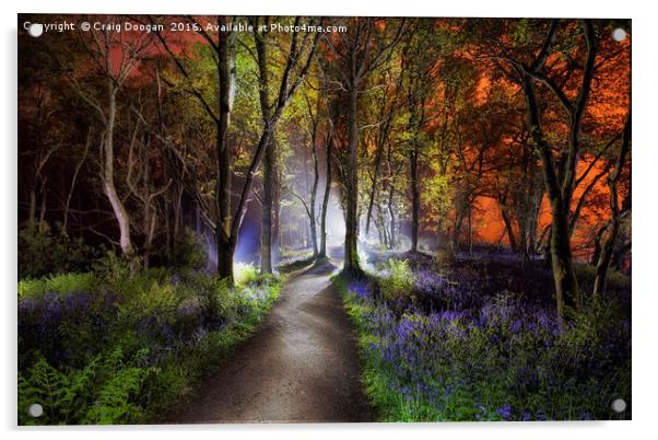 Bluebell Woods Acrylic by Craig Doogan