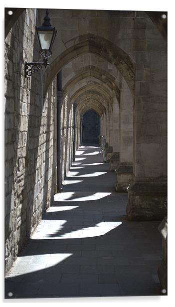 Winchester Cathedral Cloisters of the Inner close Acrylic by Chris Day