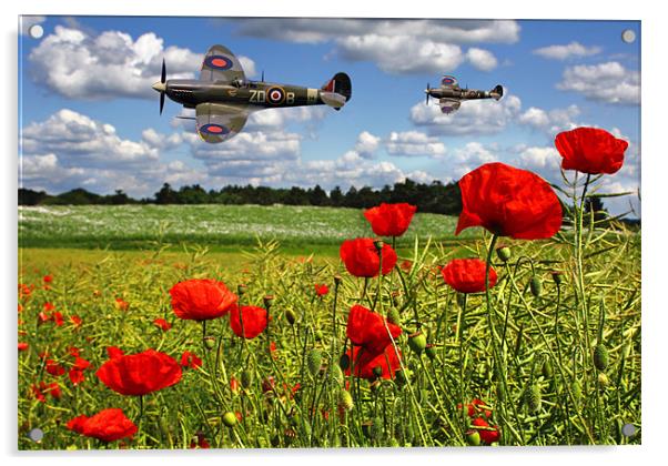 Spitfires and Poppy field Acrylic by Oxon Images