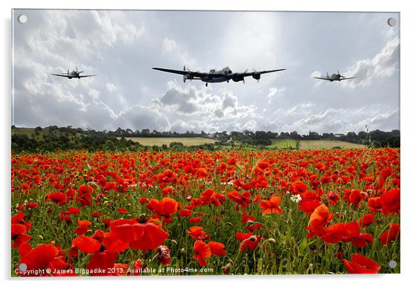Lancaster Bomber Poppy Fly Past Acrylic by J Biggadike
