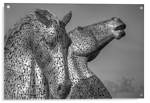  Kelpies - Black and White Acrylic by Gerry Greer