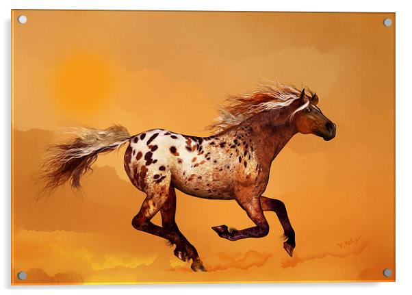 An Appaloosa called Ginger Acrylic by Valerie Anne Kelly