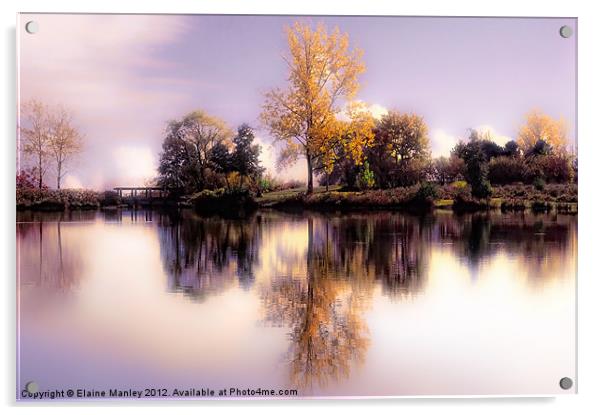Autumn Pond Acrylic by Elaine Manley