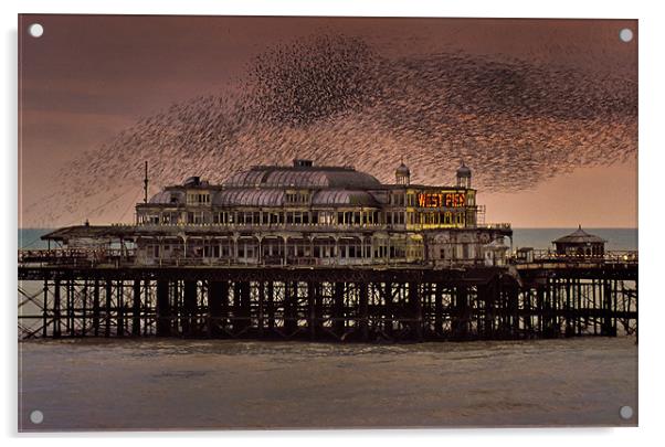 West Pier Starlings, Brighton Acrylic by Ashley Chaplin