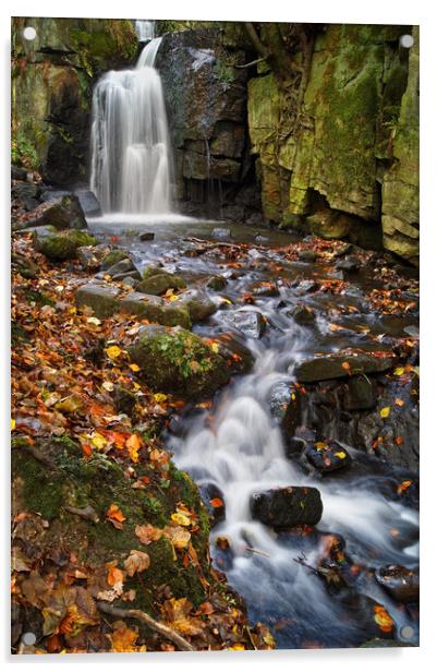 Lumsdale Falls Near Matlock                     Acrylic by Darren Galpin