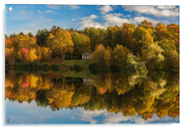 Clumber Park in the Autumn Acrylic by Darren Ball