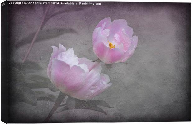 Flowers And Pink. Canvas Print by Annabelle Ward