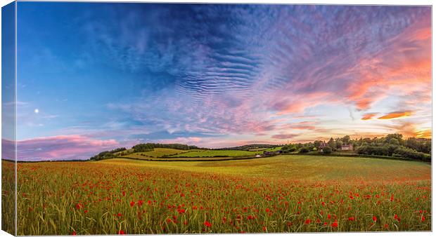 Dramatic Sunset on a Poppy Field in Kent Canvas Print by John Ly