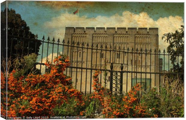Norwich Castle - Vintage style autumn view.  Canvas Print by Sally Lloyd