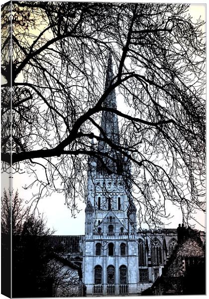  Norwich Cathedral Norfolk UK Canvas Print by Sally Lloyd