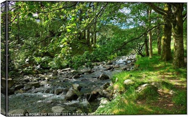 "Dappled sunshine at the stream 2" Canvas Print by ROS RIDLEY