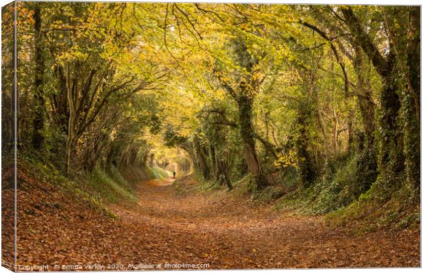 Autumn at Halnaker Tunnel, West Sussex Canvas Print by Emma Varley