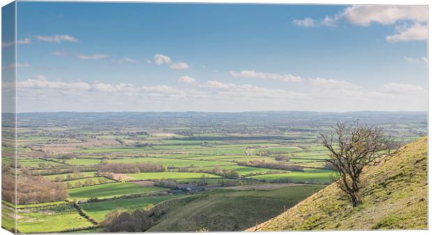  View from The South Downs Canvas Print by Colin Evans