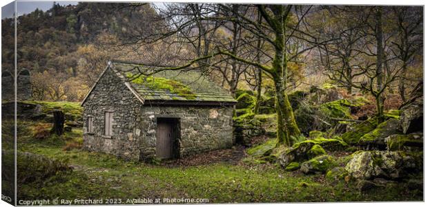 Small Hut in Borrowdale Canvas Print by Ray Pritchard