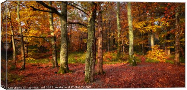 Autumn Colours round Derwent Water  Canvas Print by Ray Pritchard