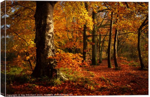 Autumn in the Lakes Canvas Print by Ray Pritchard
