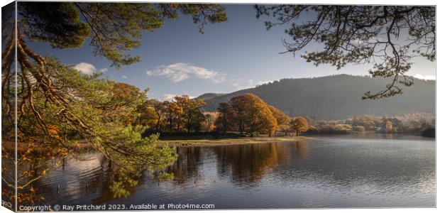 View Over Derwent Water  Canvas Print by Ray Pritchard