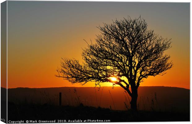 Tree Silhouette at Sunset Canvas Print by Mark Greenwood