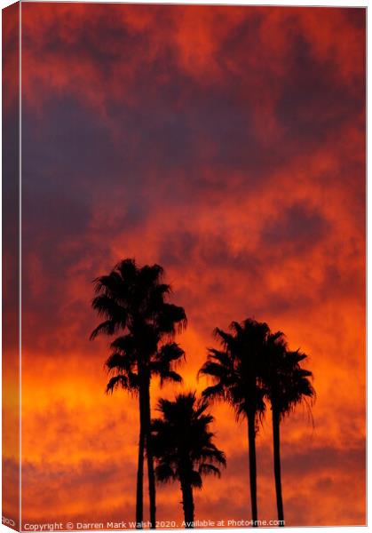 Palm Tree Sunset Canvas Print by Darren Mark Walsh