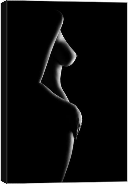 Nude Woman Bodyscape 20 Picture Canvas Wall Art in Colour by Johan  Swanepoel ID #777882