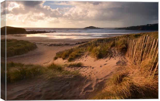 Stormy Skies at Bantham Beach Canvas Print by David Neighbour