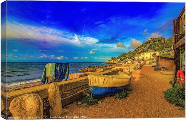Steephill cove, Isle of Wight  Canvas Print by Ian Stone