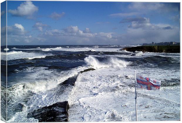Coast - Cullercots bay rough sea and RNLI  Canvas Print by David Turnbull
