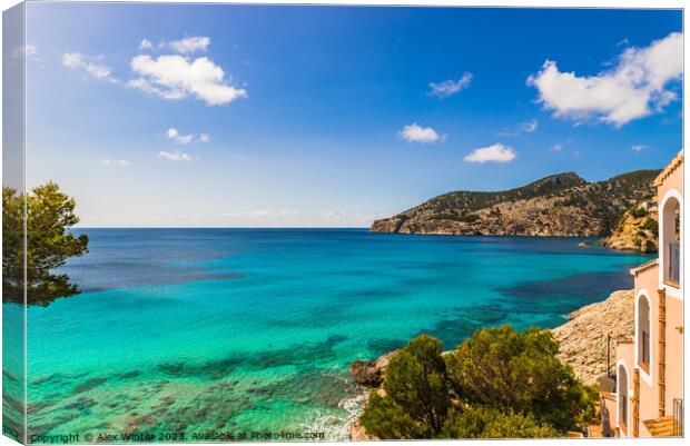 Mallorca, sea view of bay in Camp de Mar Canvas Print by Alex Winter