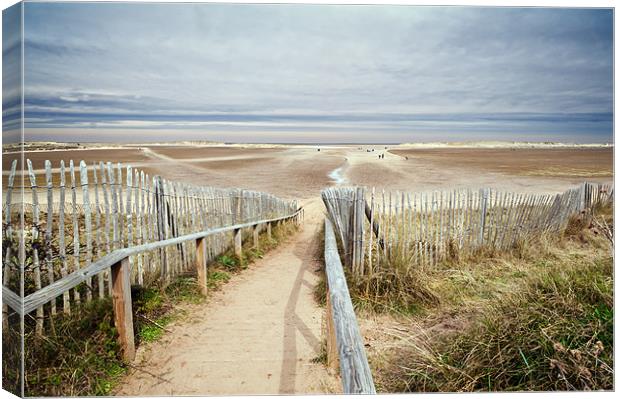 Slope to Holkham Beach Canvas Print by Stephen Mole