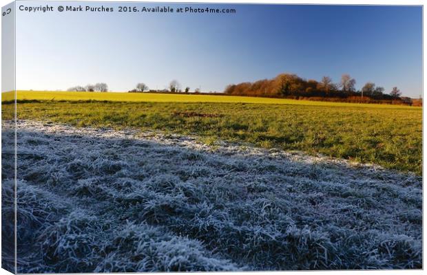 Winter Frosty Grass Landscape with Vibrant Blue Sk Canvas Print by Mark Purches