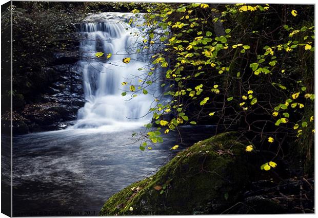 Waterfall Watersmeet River Lyn Canvas Print by Dave Wilkinson North Devon Ph