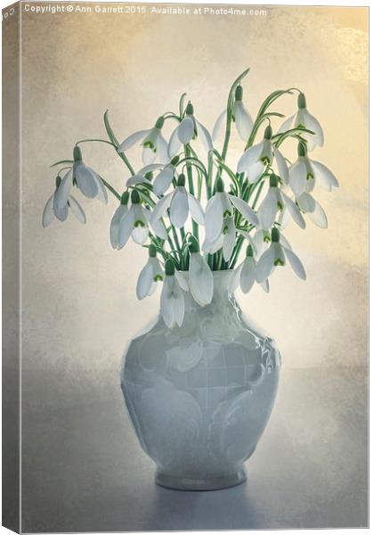 A Vase of Snowdrops Canvas Print by Ann Garrett