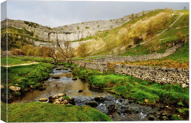  Malham Cove Yorkshire Dales Canvas Print by Diana Mower