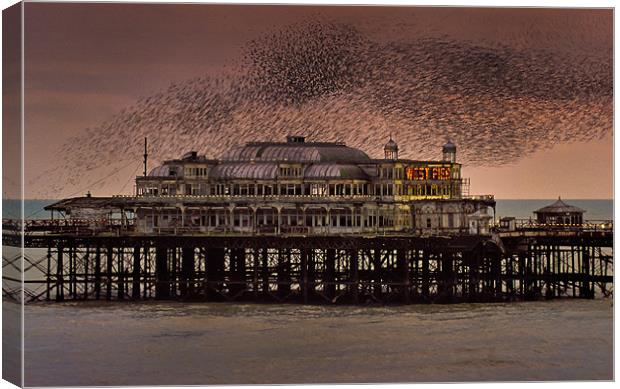 West Pier Starlings, Brighton Canvas Print by Ashley Chaplin
