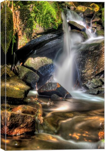 Colourful Waterfall Canvas Print by Darren Ball