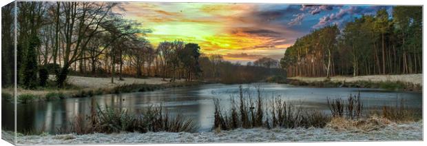 Winter Sunrise Canvas Print by Darren Ball