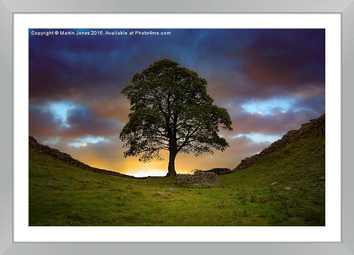 Buy Framed Mounted Prints of  The Sycamore Gap by Martin Jones