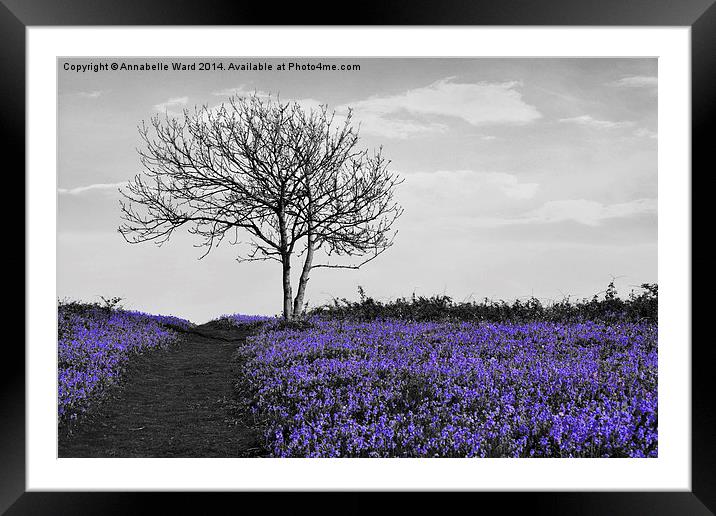 Bluebells On Monochrome Framed Mounted Print by Annabelle Ward