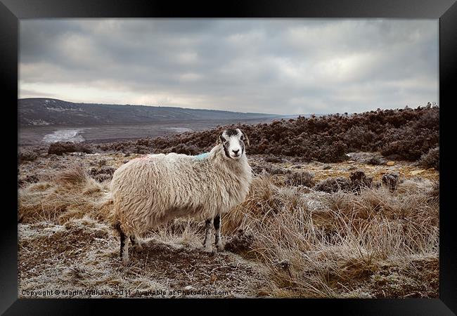 It's Cold on Them Moors. Framed Print by Martin Williams