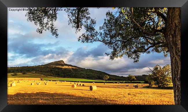  Roseberry Topping Tree Framed Print by keith sayer