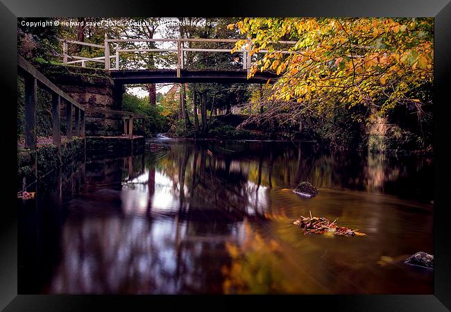  Autumnal Tranquility Framed Print by richard sayer