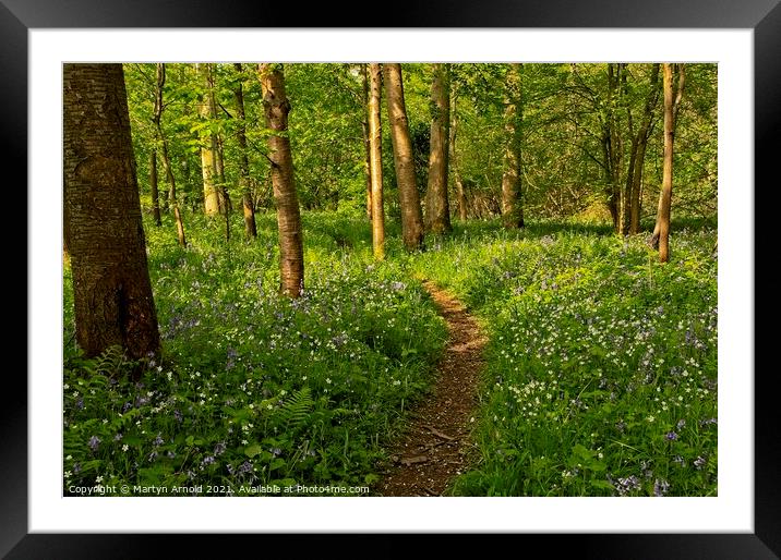 Spring Woodland Walk Framed Mounted Print by Martyn Arnold