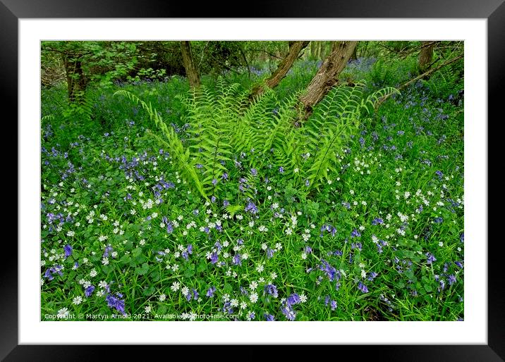 Spring Wildflowers Framed Mounted Print by Martyn Arnold