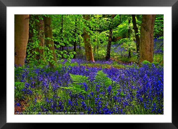 Deep in the Bluebell Wood Framed Mounted Print by Martyn Arnold